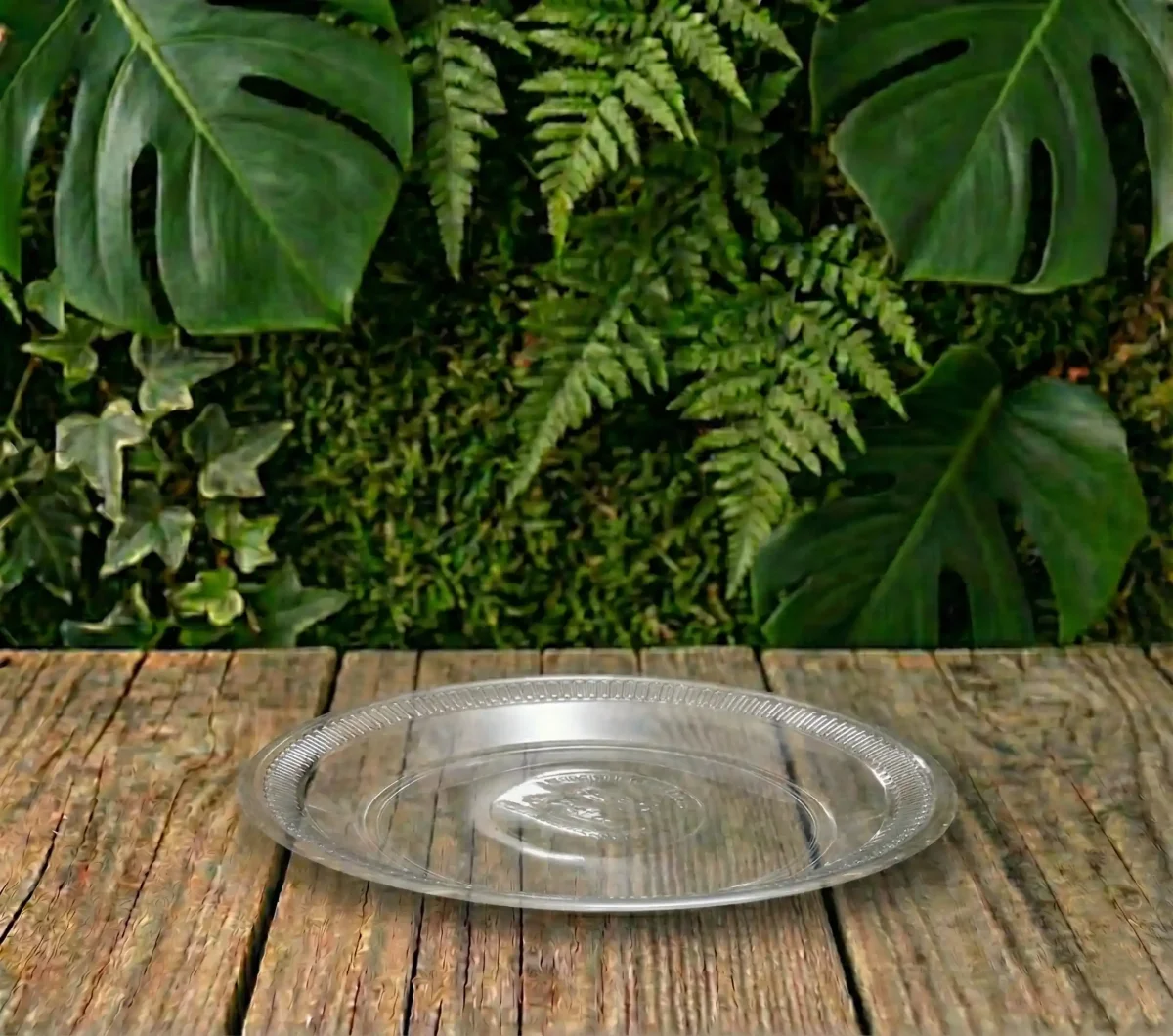 TRANSPARENTE SIN DIVISION #26